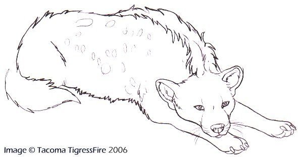 Нарисовать гиену поэтапно карандашом