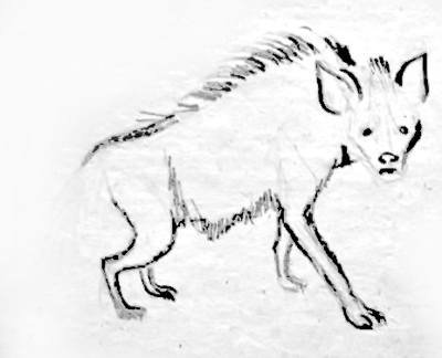 Гиена рисунок карандашом поэтапно