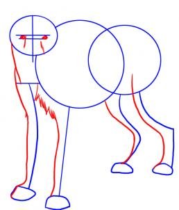 Нарисовать гиену карандашом