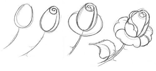 Рисунок на 8 марта карандашом поэтапно для начинающих