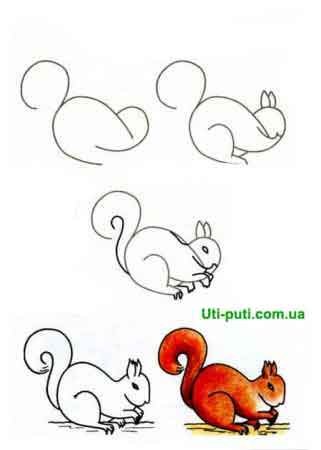 Белка рисунок пошагово для детей