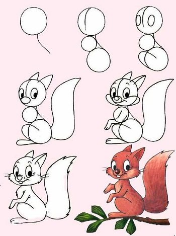 Рисование белки пошагово