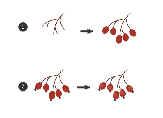Ветка рябины пошагово