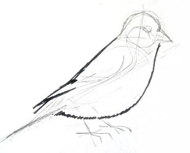 Чижик нарисовать