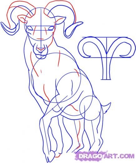 Овен знак зодиака рисунок карандашом