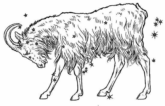 Козерог раскраска