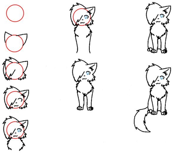 Поэтапное рисование кошки и собаки