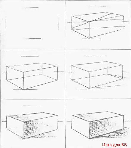 Рисунок боксера цветным карандашом для детей