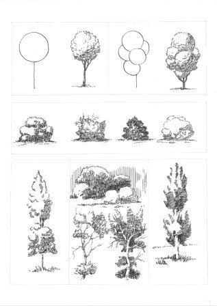 Кустарник эскиз