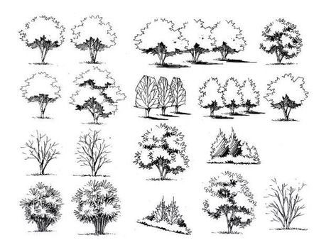 Стаффаж антураж деревья кусты
