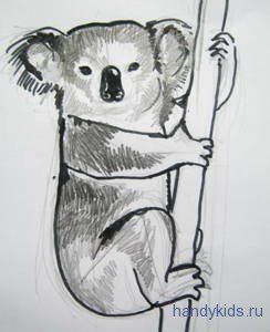 Нарисовать коалу карандашом легко и красиво