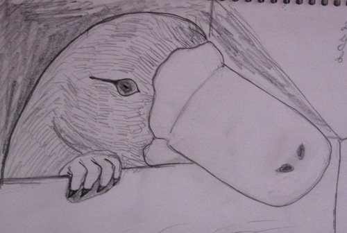 Утконос стилизация