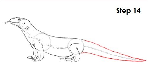 Варан рисунок карандашом