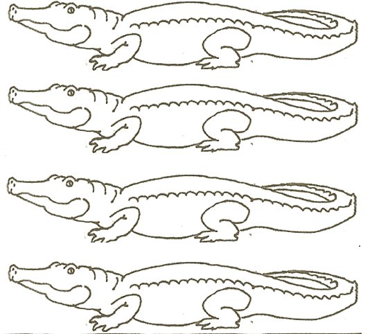 Раскраска змеи и ящерицы