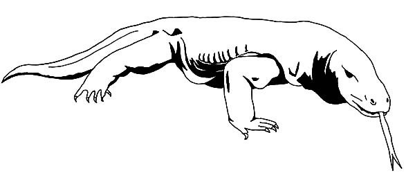 Спинка ящерки поэтапное рисование