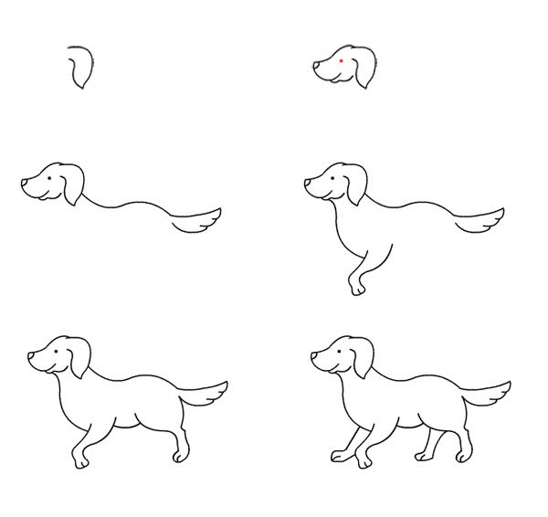 Рисуем собак. Шаг за шагом