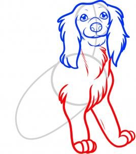 Поэтапное рисование собаки