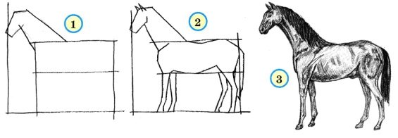 Пропорции ребенка и лошади