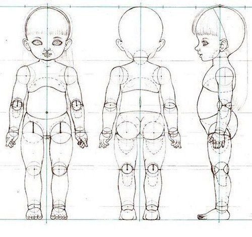 Пропорции тела ребенка 5 лет