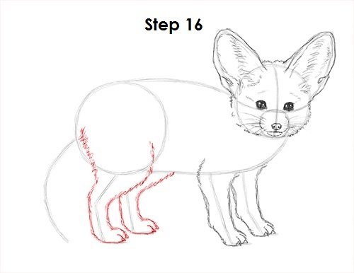 Рисование пошагово фенек