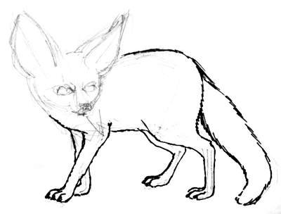 Нарисовать фенека поэтапно