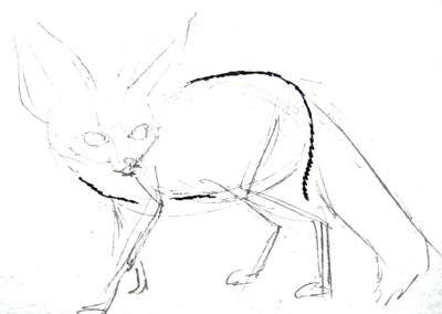 Фенек карандашом поэтапно