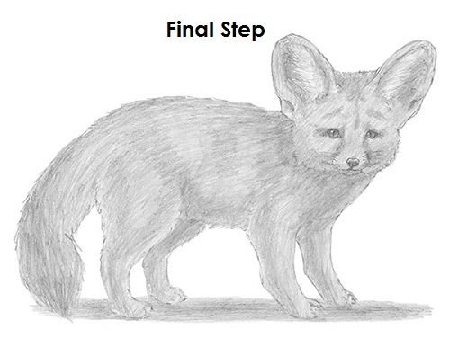 Фенек карандашом поэтапно