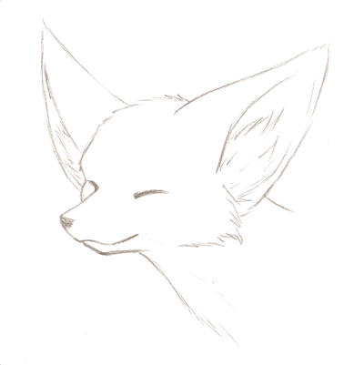 Фенек карандашом для срисовки