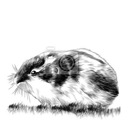 Графический рисунок лемминга