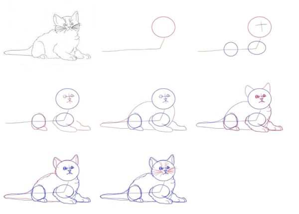 Кошка пошаговое рисование