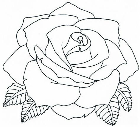 Контурная роза