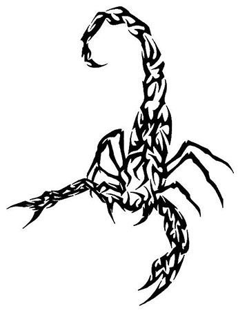 Скорпион раскраска