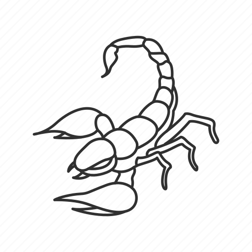 Скорпион узор