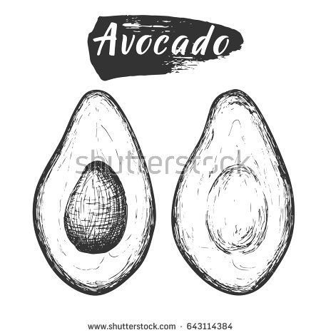 Раскраска авокадо