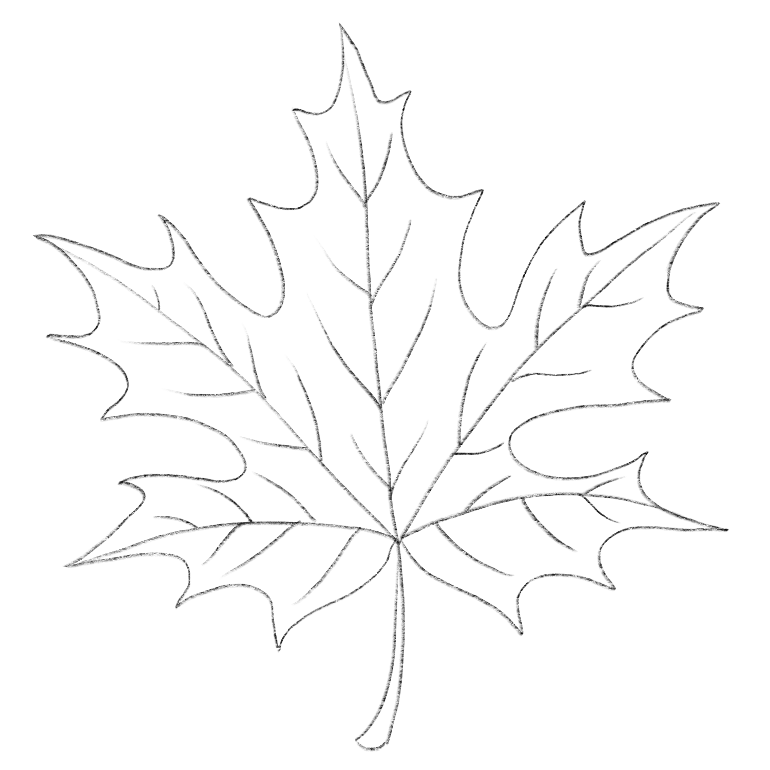 Чертеж листьев. Лист клена раскраска. Рисование на листьях клена. Лист клёна рисунок. Лист клена шаблон.