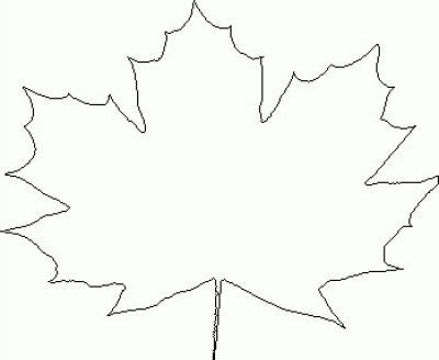 Кленовый лист раскраска