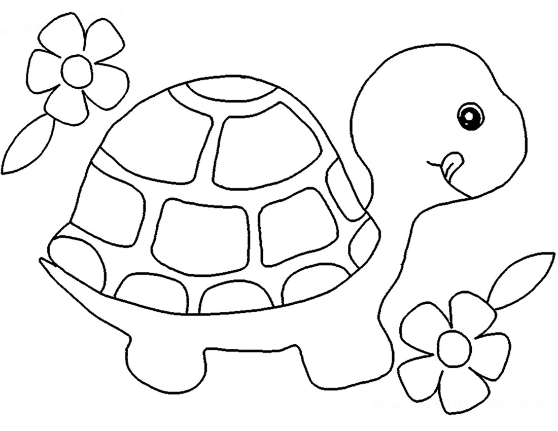 Черепаха контурный рисунок для детей