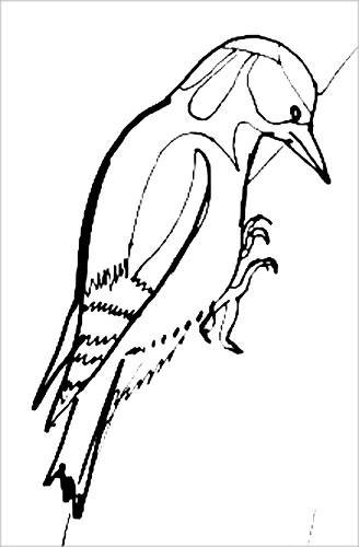 Дятел трафарет