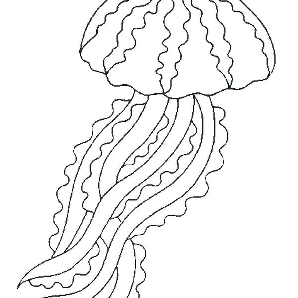 Раскраска морские обитатели медуза