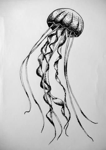 Медуза раскраска