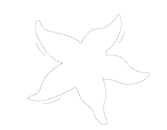 Морская звезда трафарет