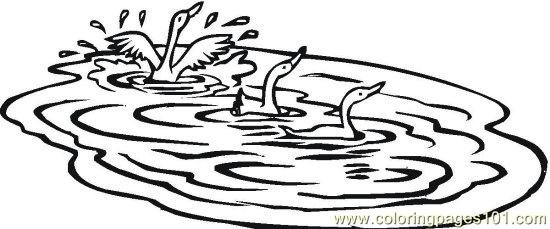 Озеро раскраска для детей