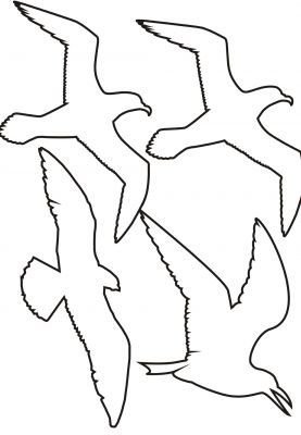 Чайка шаблоны для вырезания из бумаги