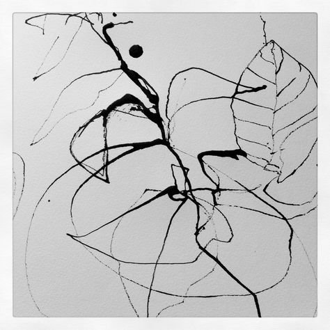 Контурные линии