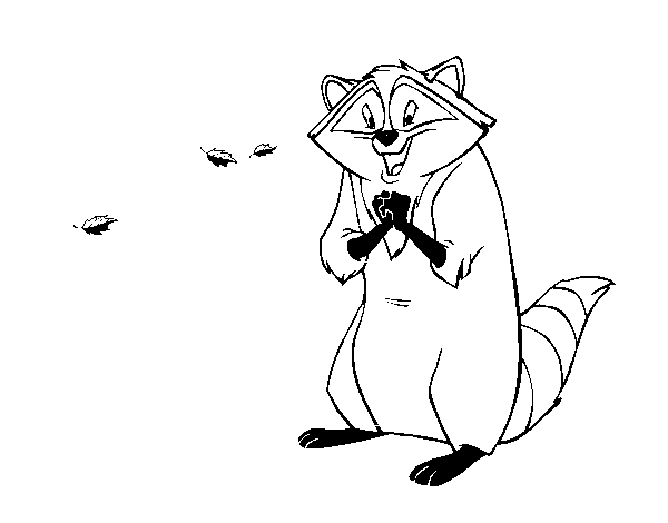 Енот контур