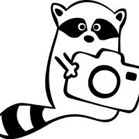 Енот с фотоаппаратом