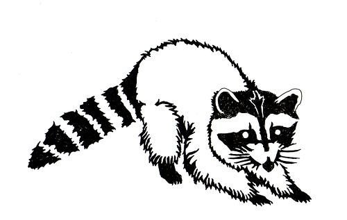 Енот полоскун раскраска