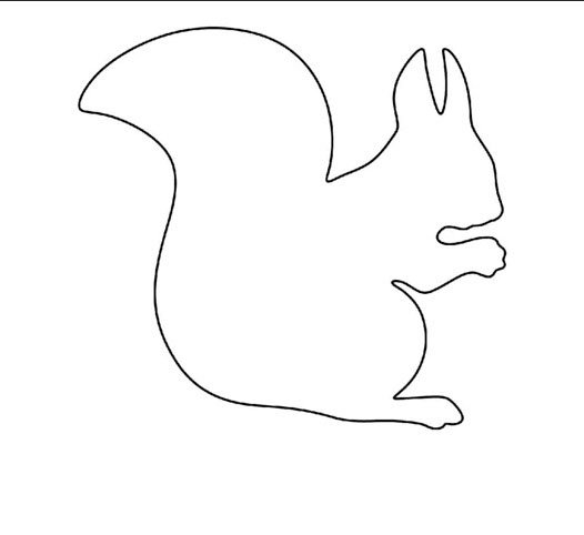 Раскраска белки