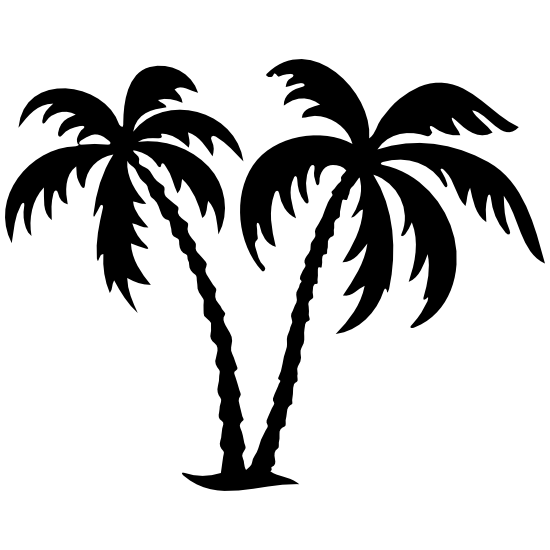 Пальма контурная