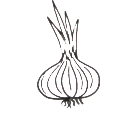Раскраски лука репчатого для детей